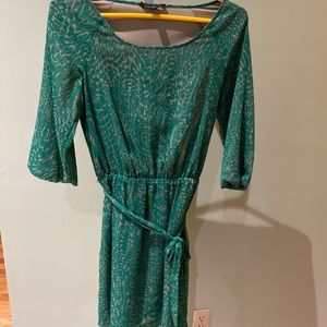 Banana Republic Discontinued Green Dress
